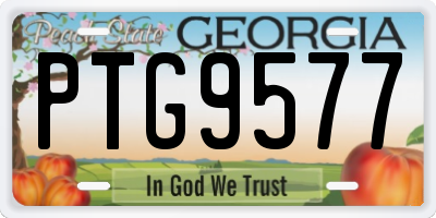 GA license plate PTG9577