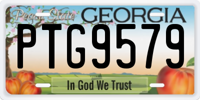 GA license plate PTG9579