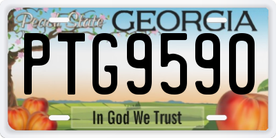 GA license plate PTG9590