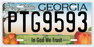 GA license plate PTG9593
