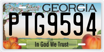 GA license plate PTG9594