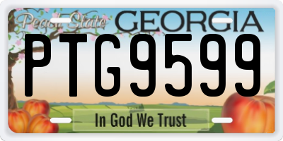 GA license plate PTG9599
