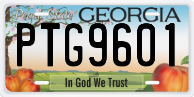 GA license plate PTG9601