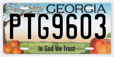 GA license plate PTG9603