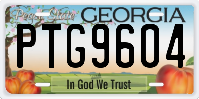 GA license plate PTG9604