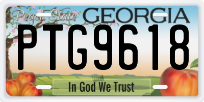 GA license plate PTG9618
