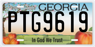 GA license plate PTG9619