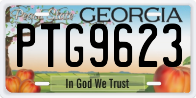 GA license plate PTG9623