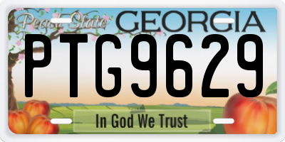 GA license plate PTG9629
