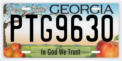 GA license plate PTG9630