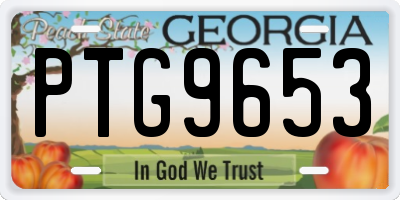 GA license plate PTG9653