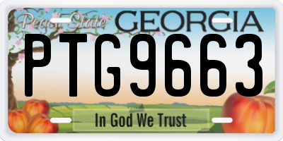 GA license plate PTG9663