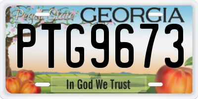 GA license plate PTG9673