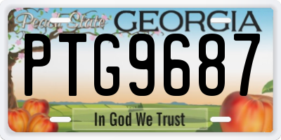 GA license plate PTG9687