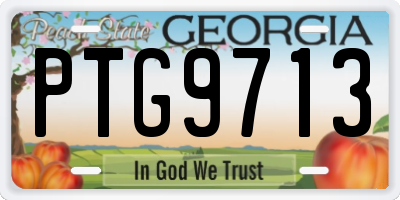 GA license plate PTG9713