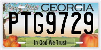 GA license plate PTG9729