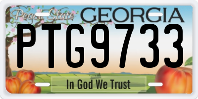 GA license plate PTG9733