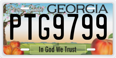 GA license plate PTG9799