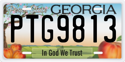 GA license plate PTG9813