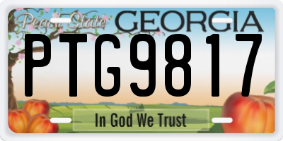 GA license plate PTG9817