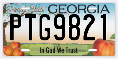GA license plate PTG9821