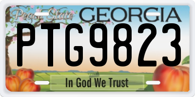 GA license plate PTG9823