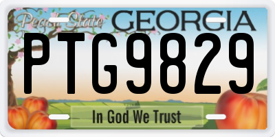 GA license plate PTG9829