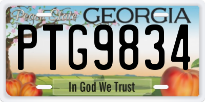 GA license plate PTG9834