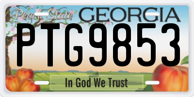 GA license plate PTG9853