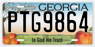 GA license plate PTG9864
