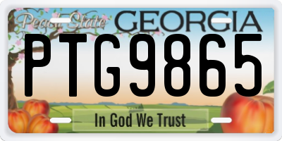 GA license plate PTG9865
