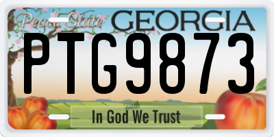 GA license plate PTG9873
