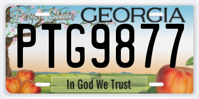 GA license plate PTG9877