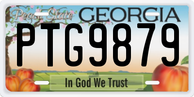 GA license plate PTG9879