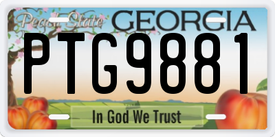 GA license plate PTG9881