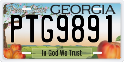GA license plate PTG9891