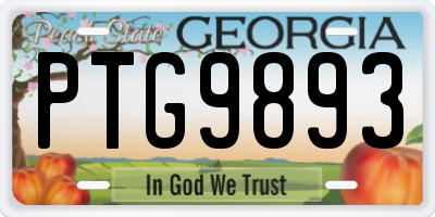 GA license plate PTG9893