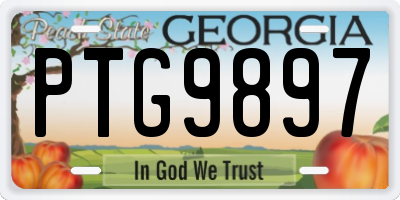 GA license plate PTG9897