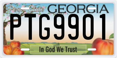 GA license plate PTG9901