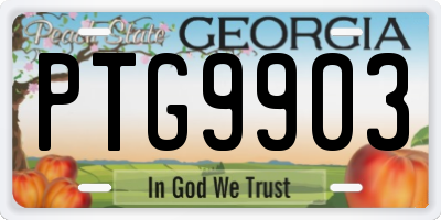GA license plate PTG9903