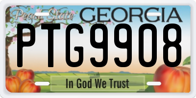 GA license plate PTG9908