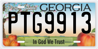 GA license plate PTG9913