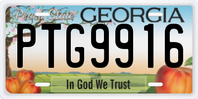 GA license plate PTG9916