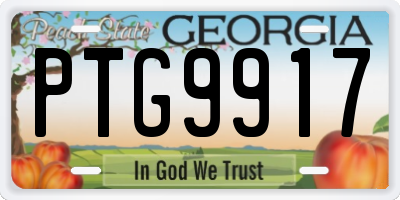 GA license plate PTG9917