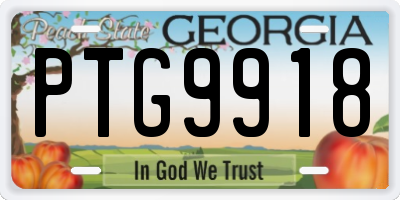 GA license plate PTG9918