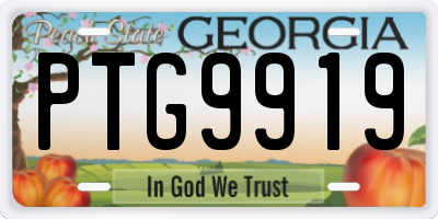 GA license plate PTG9919