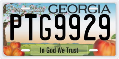 GA license plate PTG9929