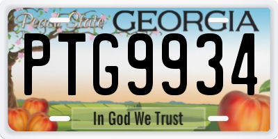 GA license plate PTG9934