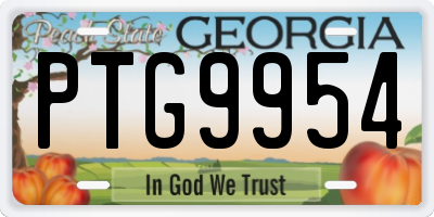 GA license plate PTG9954