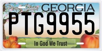 GA license plate PTG9955